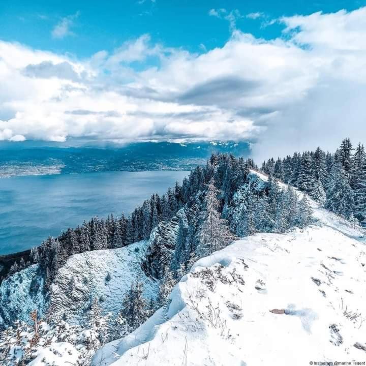 Votre Studio Balneo Bien-Etre A La Montagne Thollon-les-Memises Exterior foto
